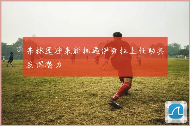 弗林蓬迎来新机遇伊劳拉上任助其发挥潜力