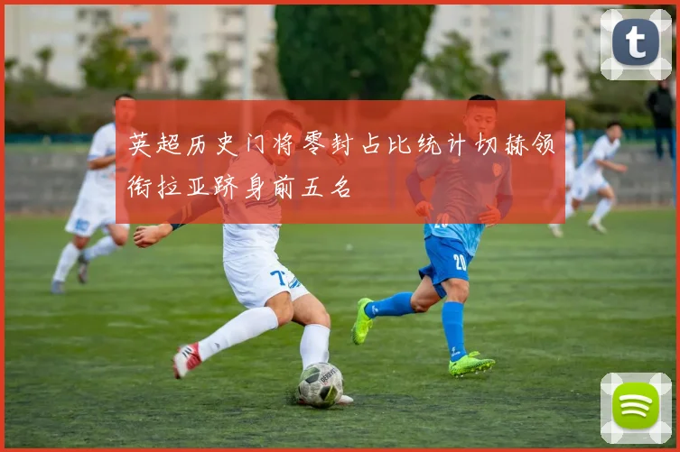 英超历史门将零封占比统计切赫领衔拉亚跻身前五名